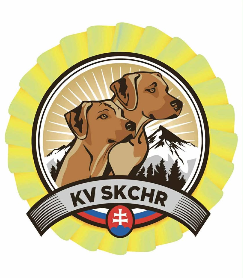 XXXII KV logogo